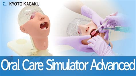 oral simulator for women